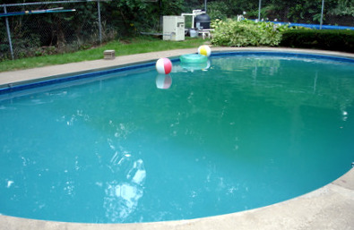 Pollen in swimming pool